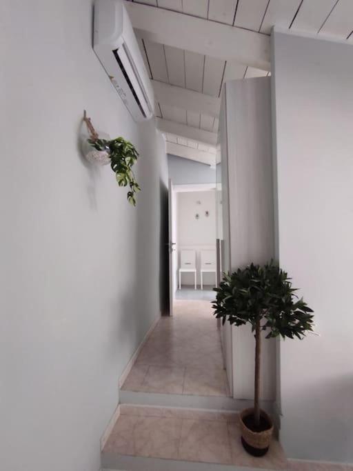 Free Parking Tiny House Wifi Netflix 15 Minuti Dal Duomo Daire Milano Dış mekan fotoğraf